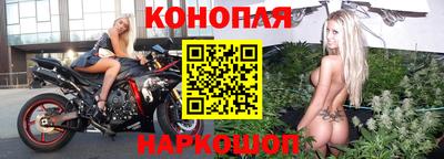гашик Славянск-на-Кубани