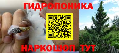гашик Славянск-на-Кубани