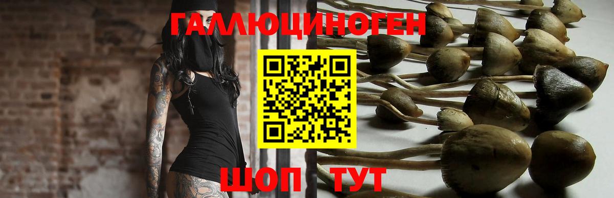 Псилоцибиновые грибы мицелий  Вход с VPN  магазин  наркотиков  Псилоцибиновые грибы ЛСД  Псков 