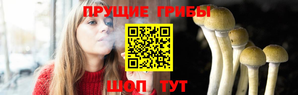 Псилоцибиновые грибы прущие грибы Псков