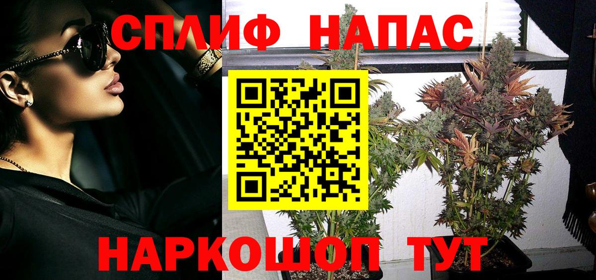 Конопля Bruce Banner Псков